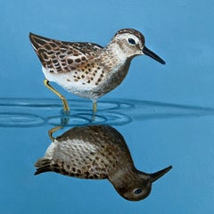 Sandpiper, peinture sur panneau de bois