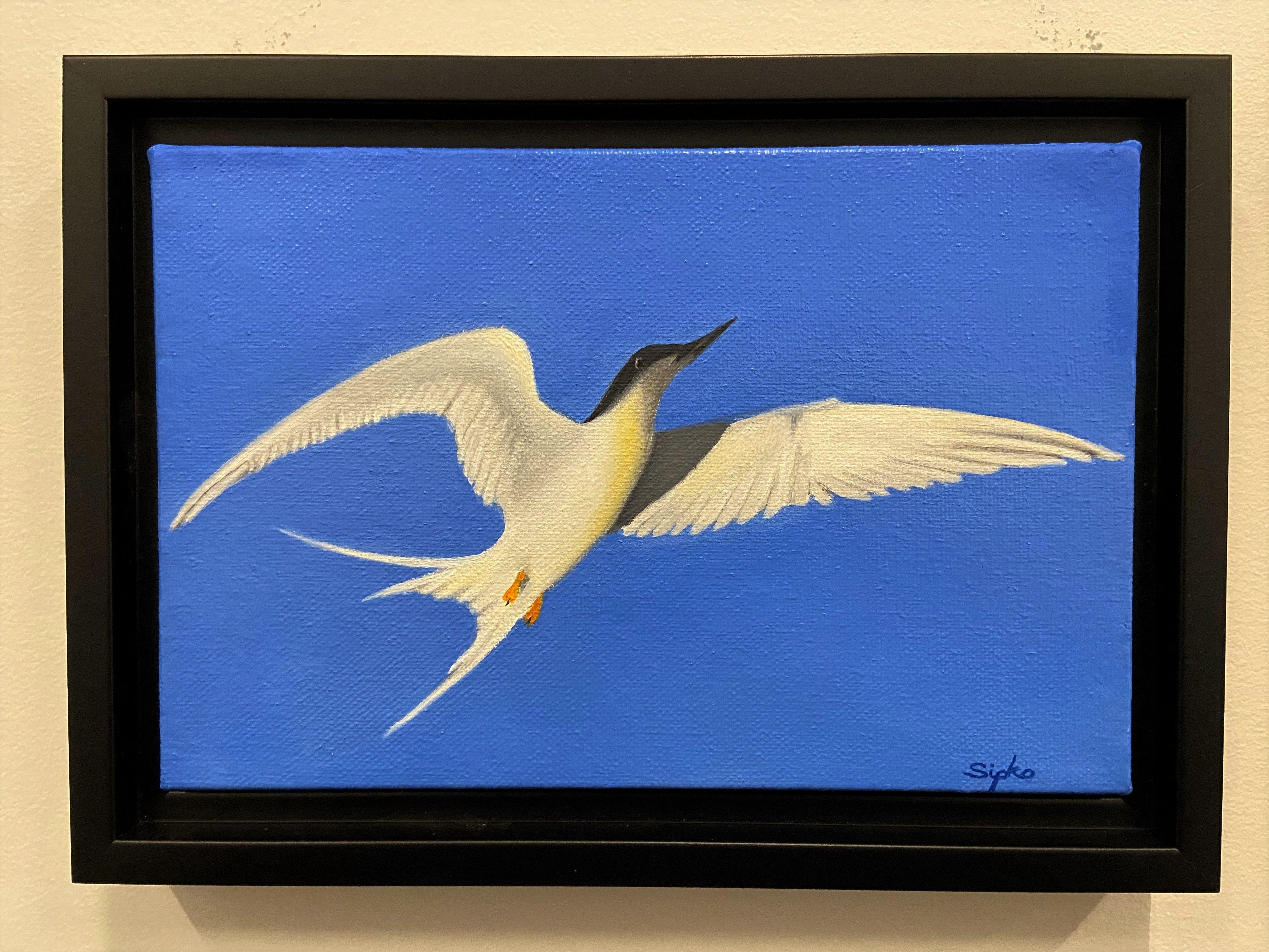 Tern In Flight, Painting, Oil on Canvas For Sale 1