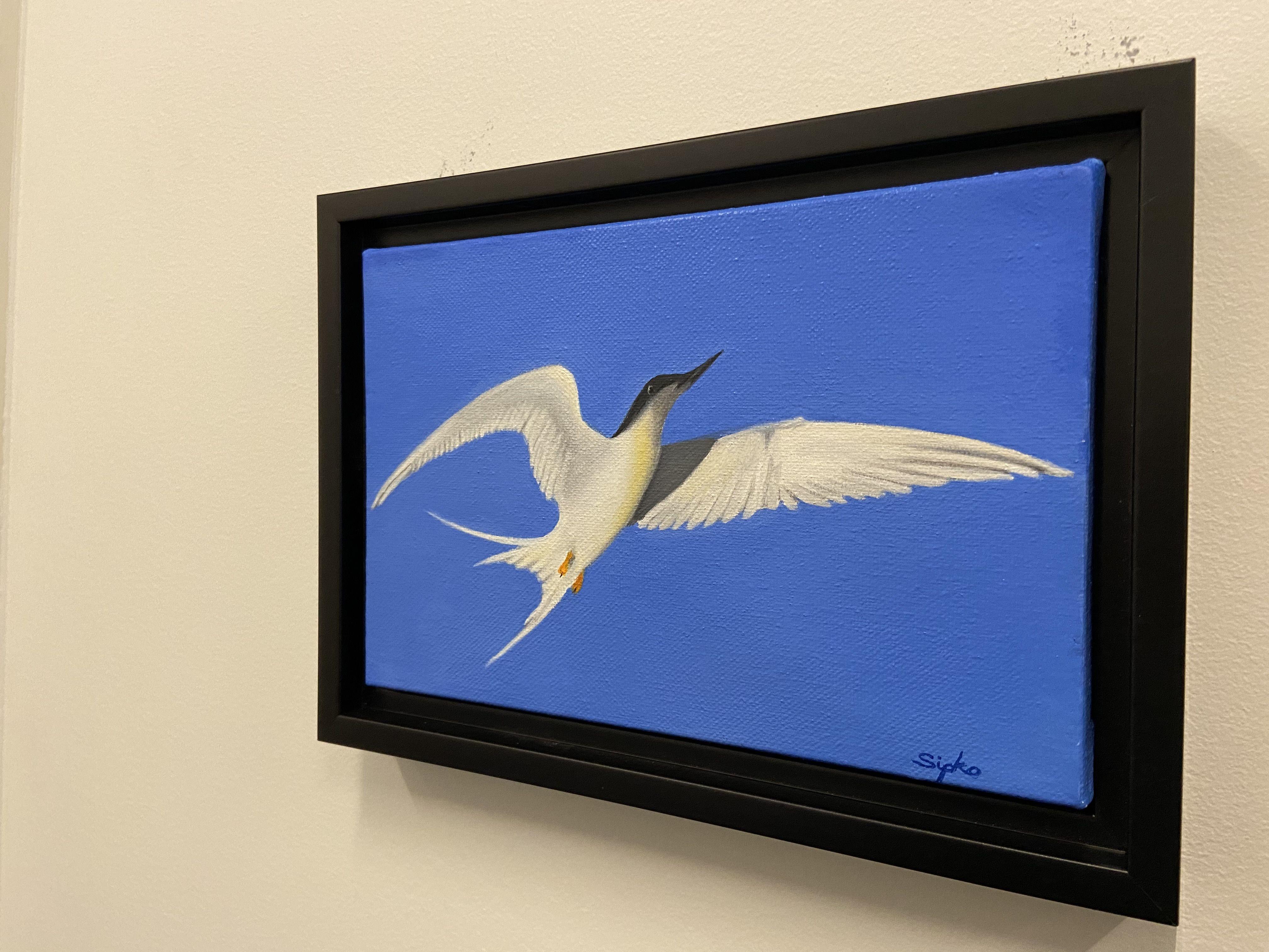 Tern In Flight, Painting, Oil on Canvas For Sale 2