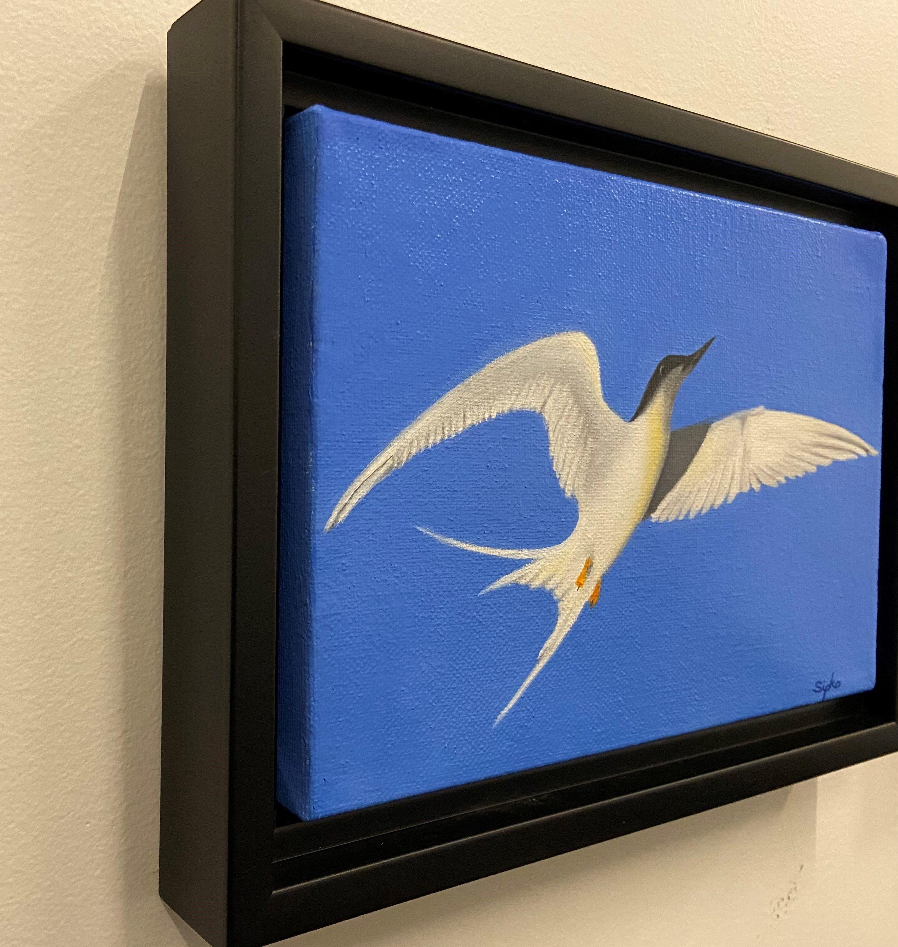 Tern In Flight, Painting, Oil on Canvas For Sale 3