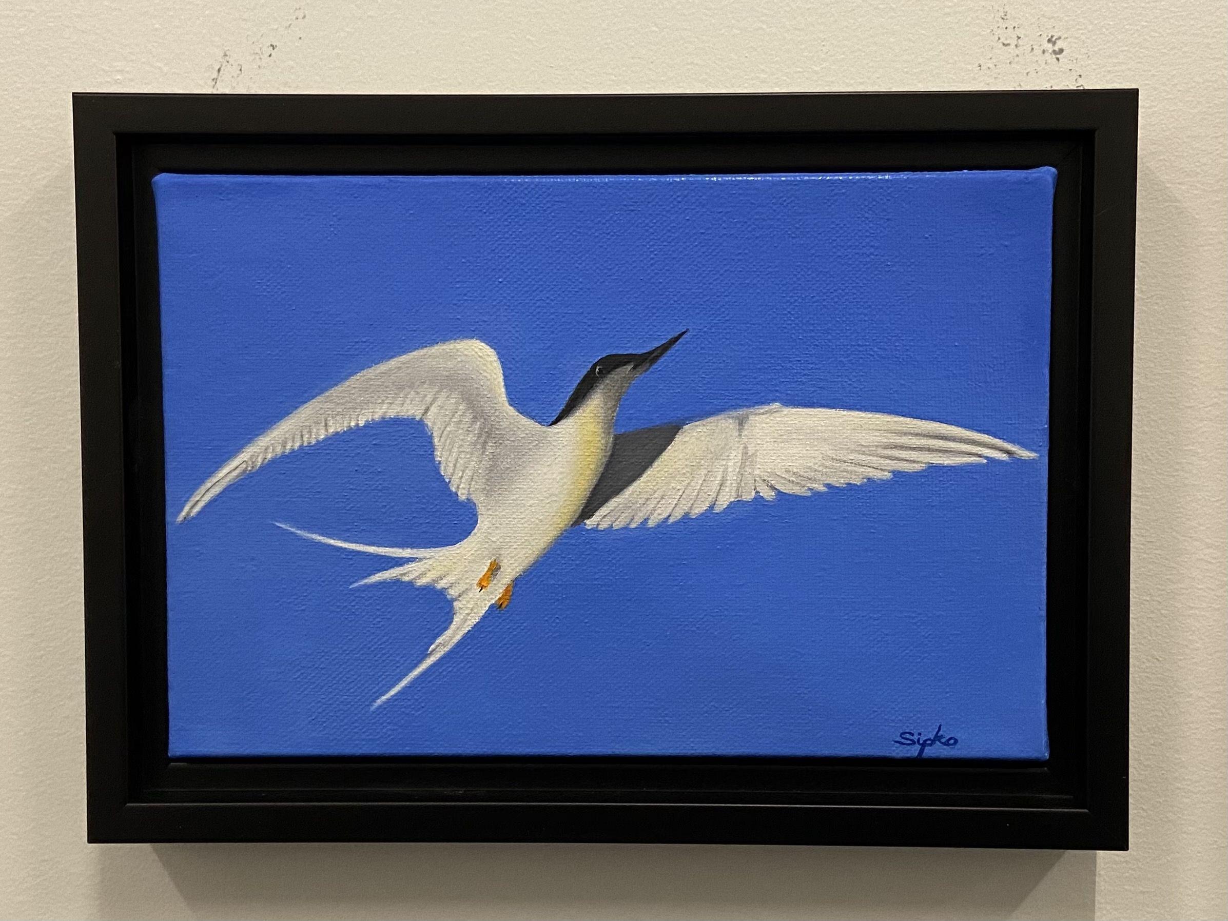 This is an oil on canvas fine art piece of a Tern in flight.  When I am at the beach, I always have an eye out for the shore birds.  The Tern is one of the most graceful flyers that you will find at the beach.  They tend to flutter about 50ft. above