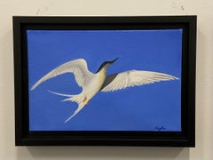 Tern In Flight, Painting, Oil on Canvas