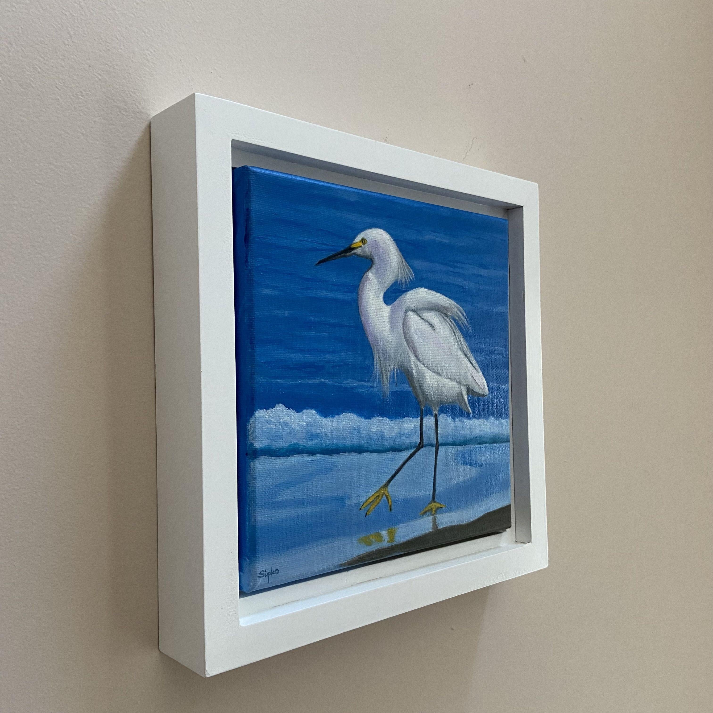 Vivo in una zona in cui in estate ci sono molti aironi.  Questa è una garzetta delle nevi che cammina sulla battigia in cerca di un pasto.  Sono un'arte performativa a sé stante.  Questo pezzo è incorniciato in una cornice galleggiante in legno