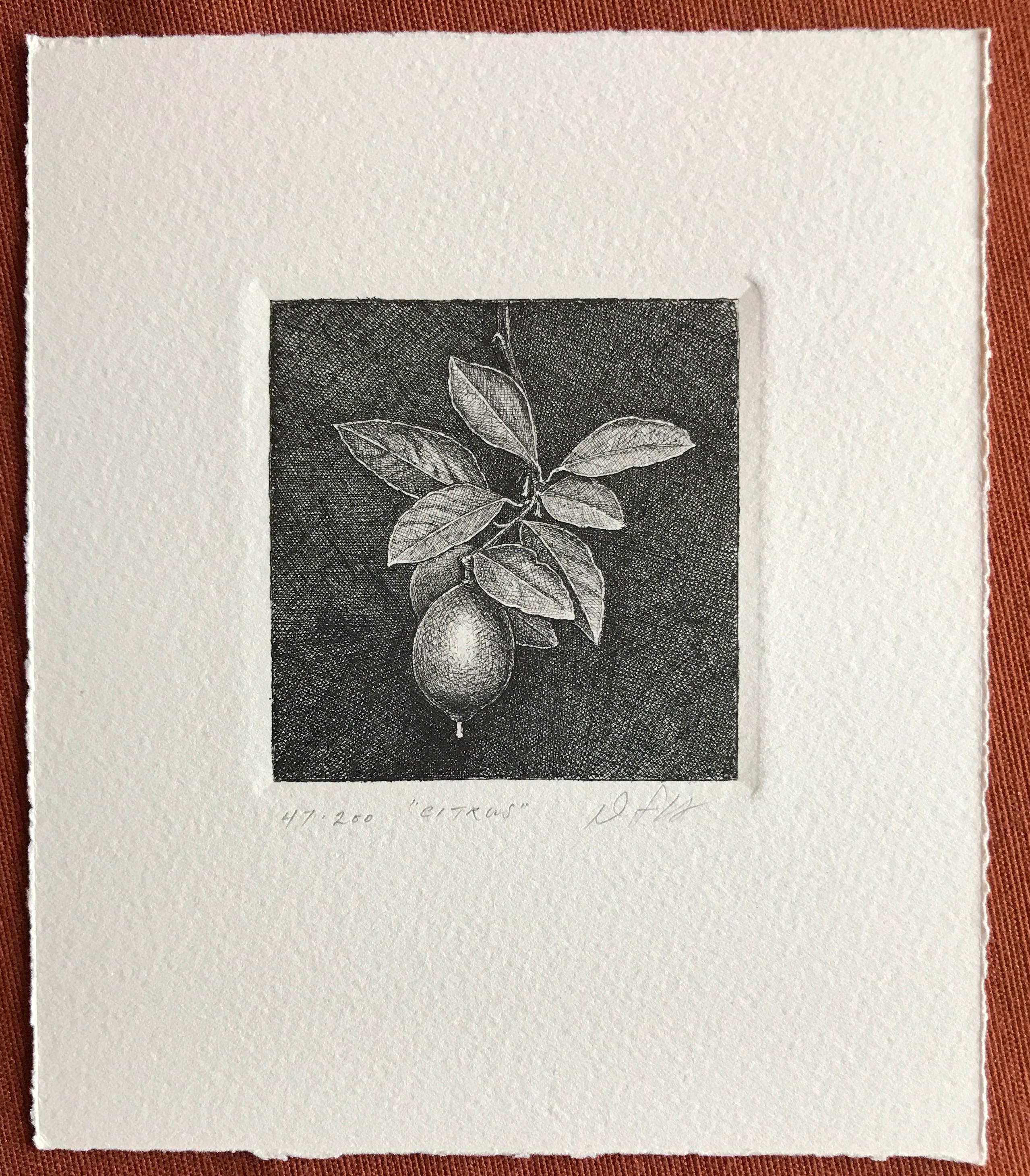 Citrus - Print by David Smith-Harrison