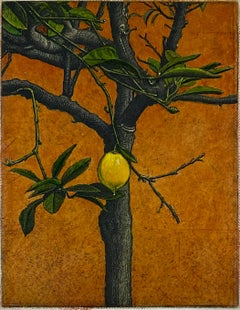 Citrus Tree, by David Smith-Harrison