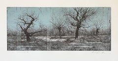 Cottonwoods II, by David Smith-Harrison
