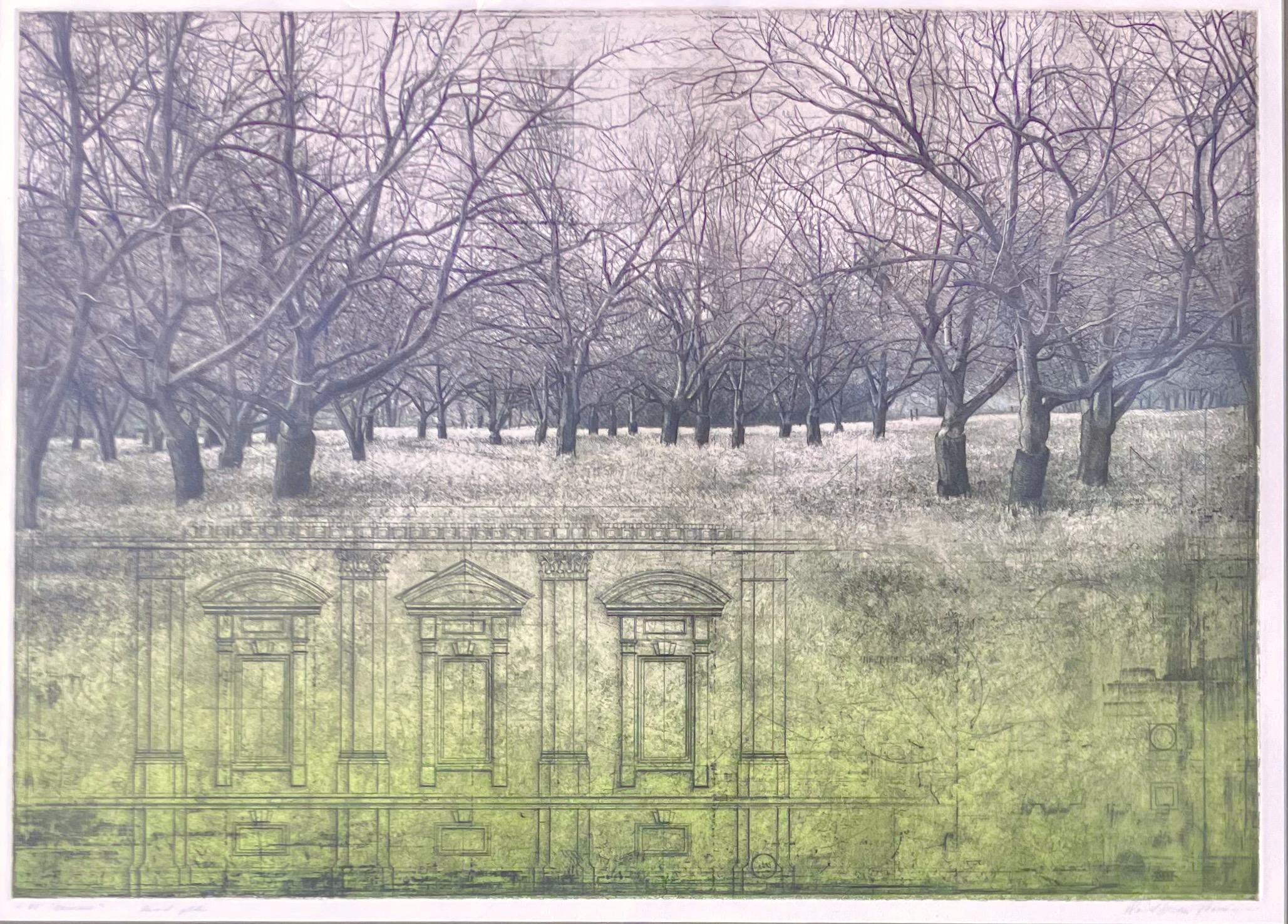 Huerto - Print de David Smith-Harrison
