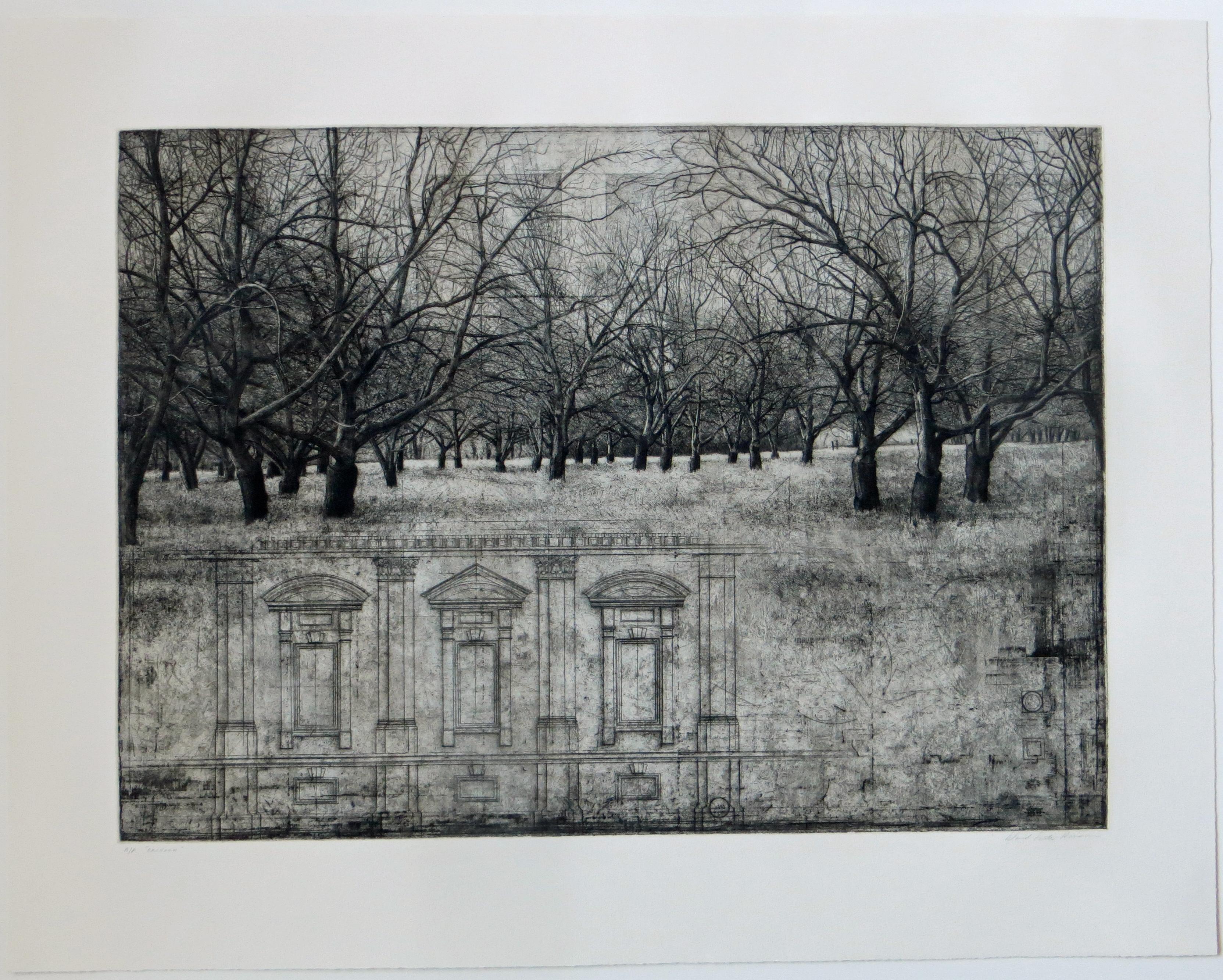 Orchard II - Print by David Smith-Harrison
