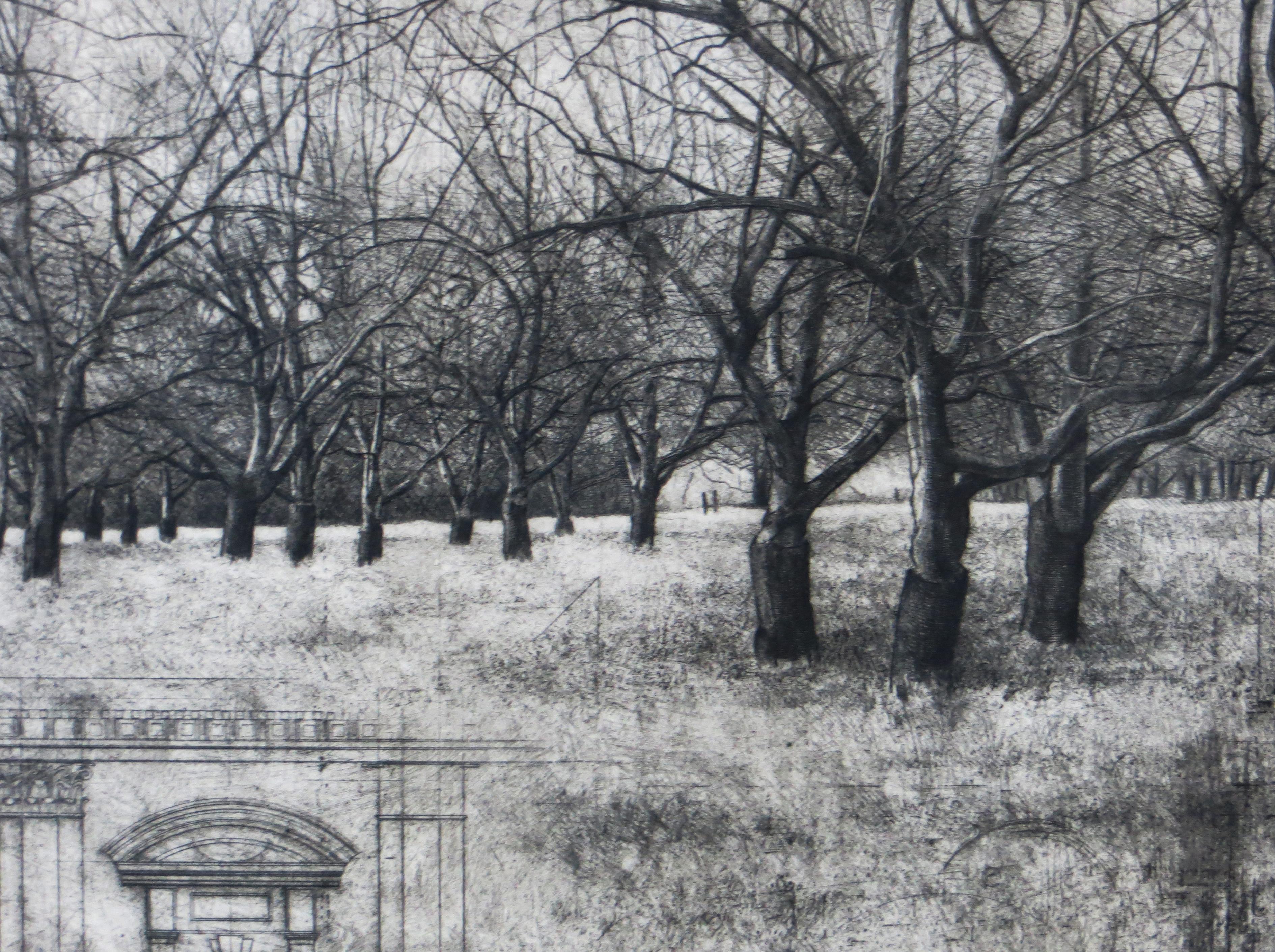 Orchard II - Gray Landscape Print by David Smith-Harrison
