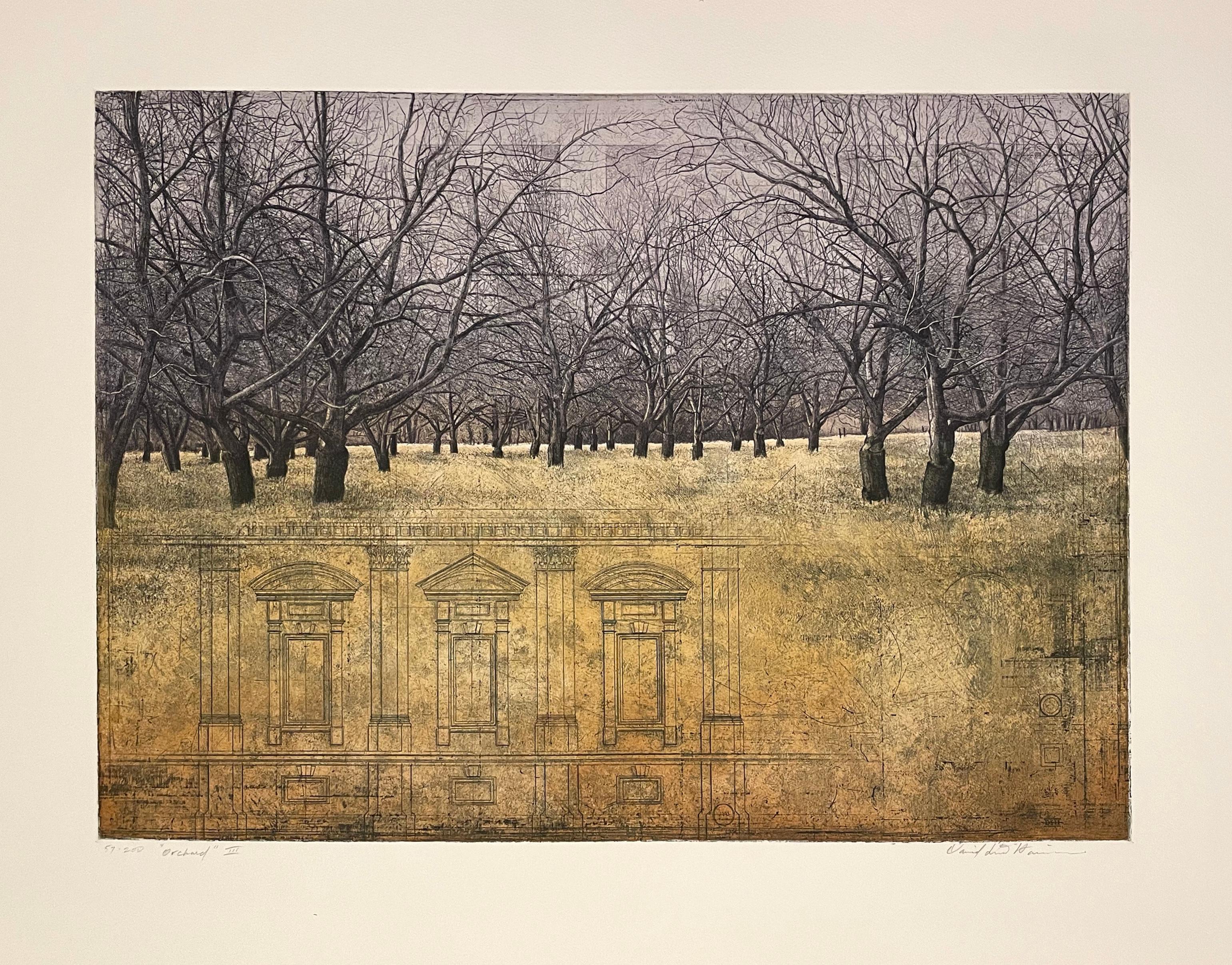 Orchard III - Print by David Smith-Harrison