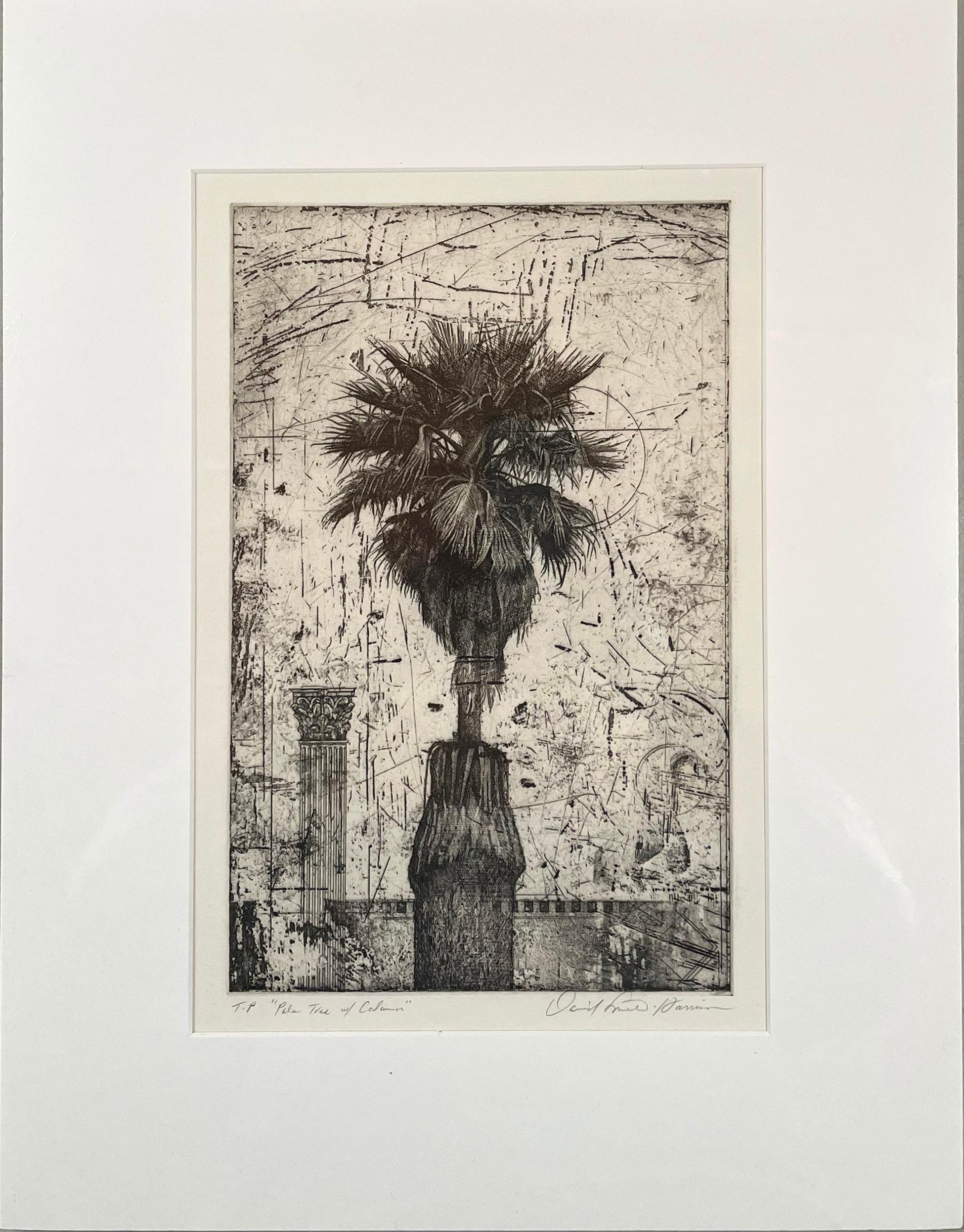 Palm Tree w/ Column (black and white TP) - Print by David Smith-Harrison