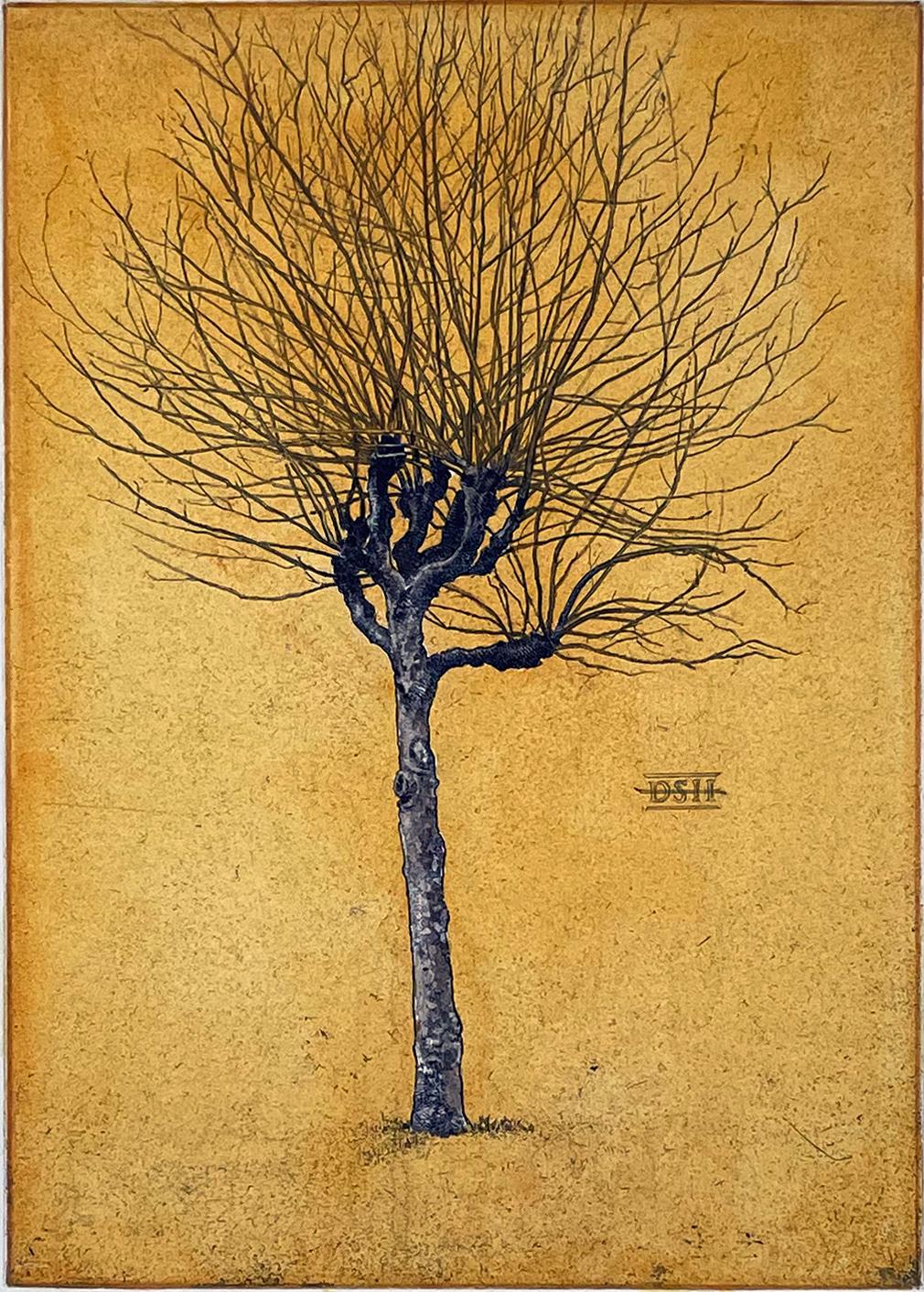Árbol plano A , coloreado a mano