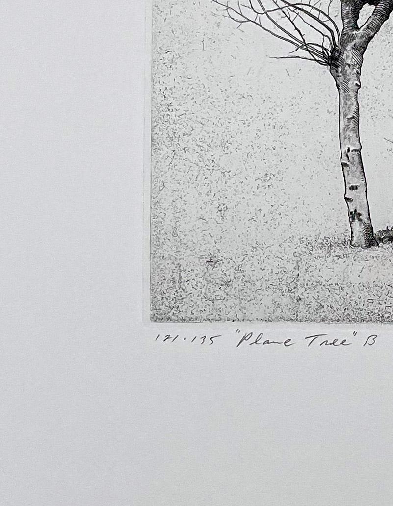 Platano B. - Landscape Print Grigio di David Smith-Harrison