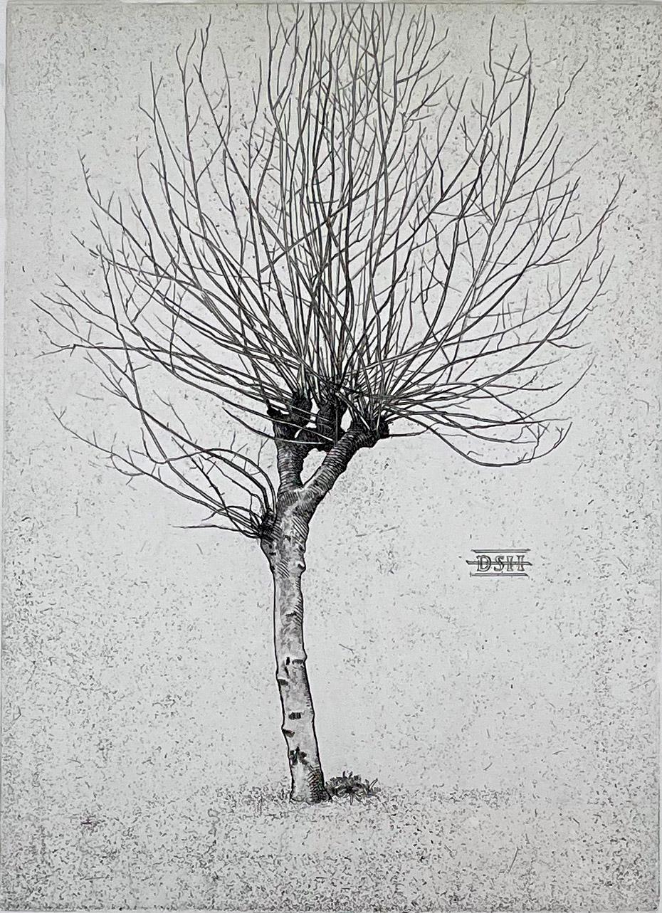 Landscape Print di David Smith-Harrison - Platano B.