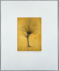 Plane Tree B, hand-colored