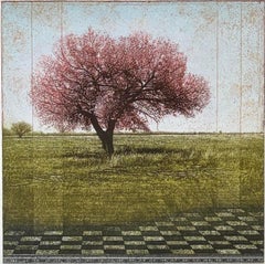 Due alberi con prospettiva III (TP)