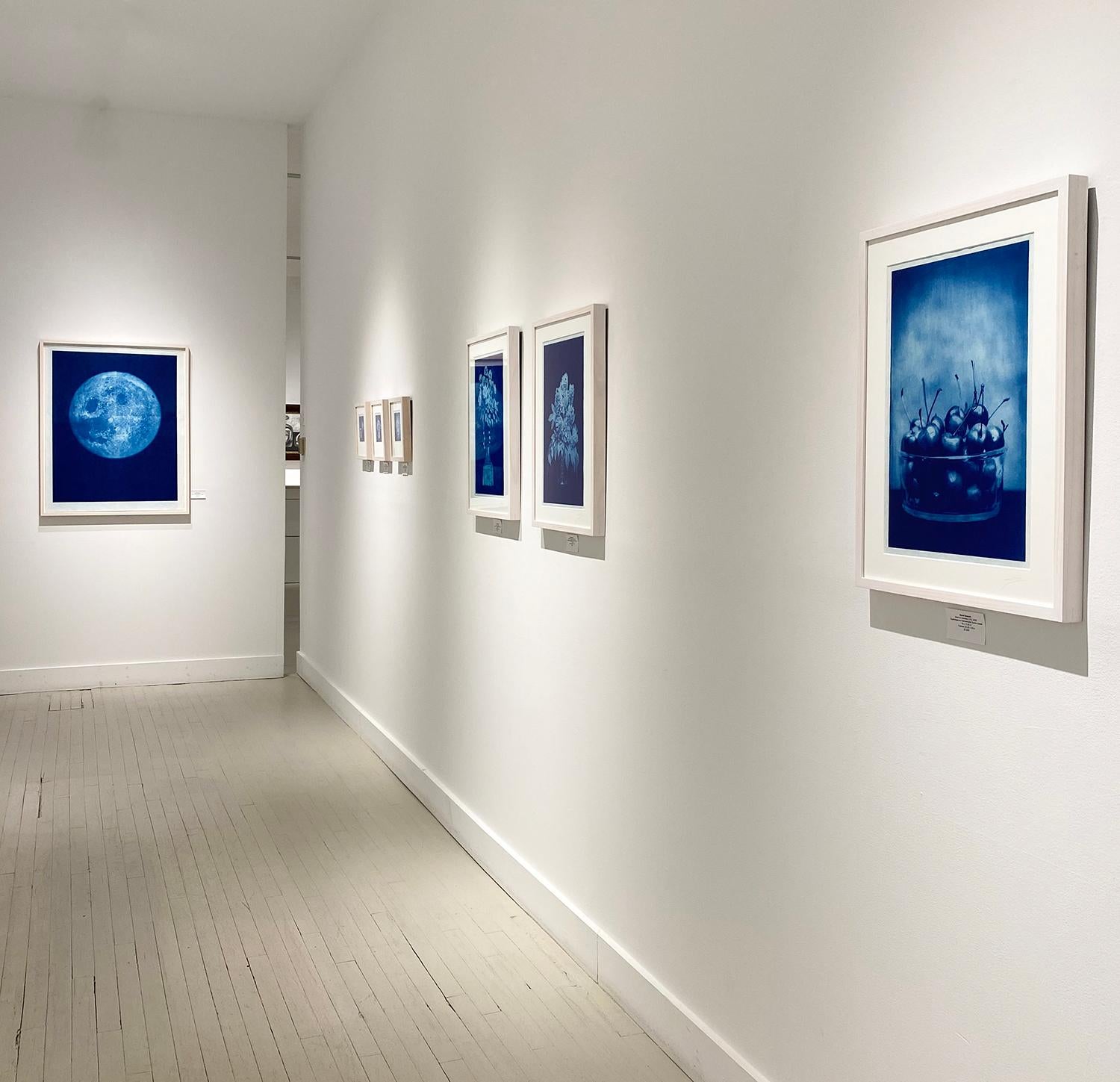 Schale mit Kirschen (Contemporary Blue and White Cyanotype Still Life Photo) – Print von David Sokosh
