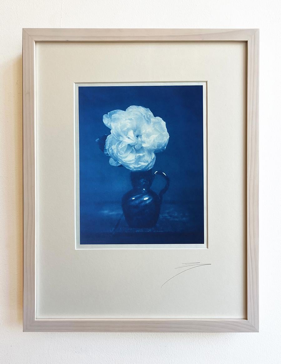 Rose dans un vase en verre bleu (Nature morte romantique - Photo de nature morte au cyanotype, encadrée) - Print de David Sokosh