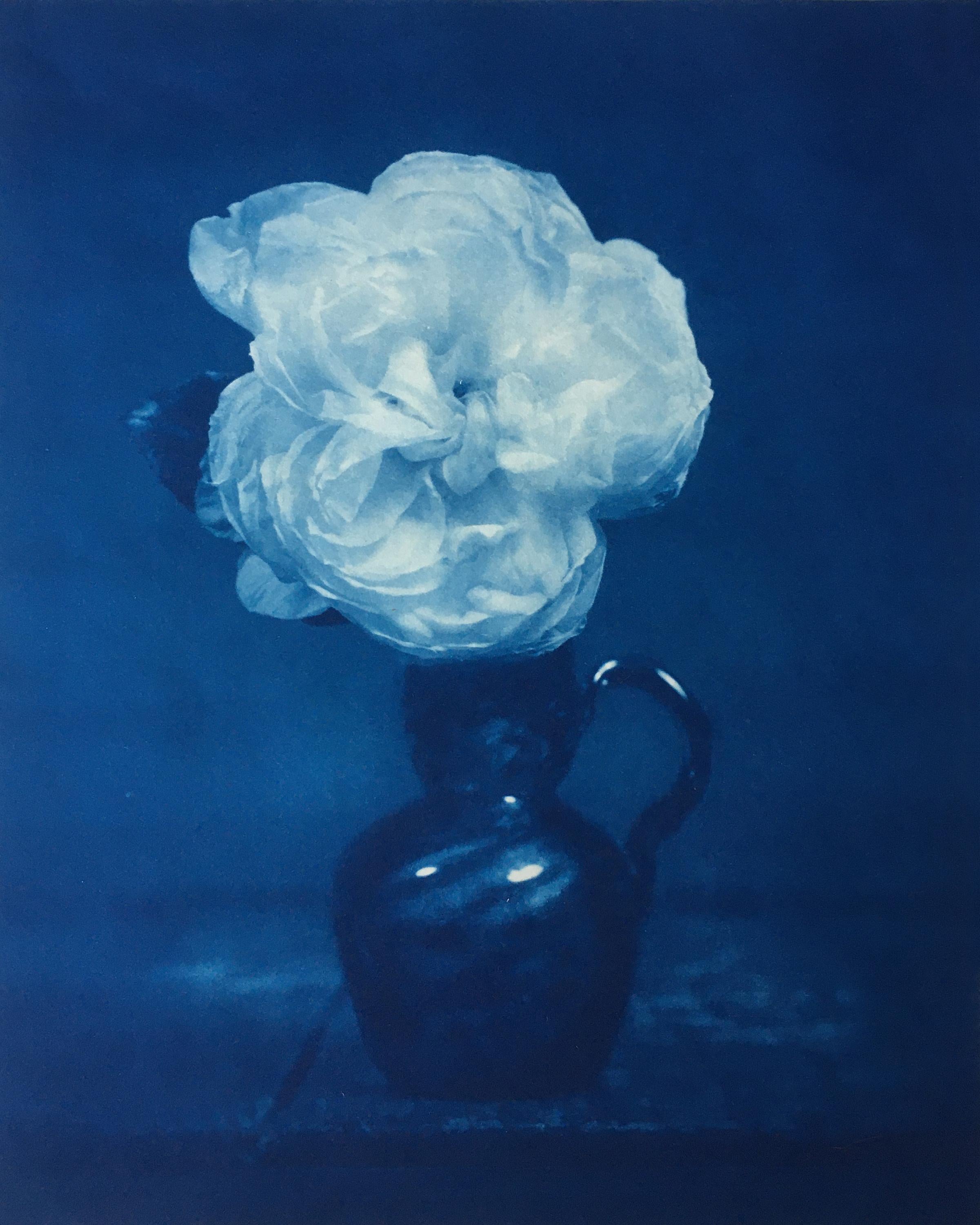 Rose dans un vase en verre bleu (Nature morte romantique - Photo de nature morte au cyanotype, encadrée)