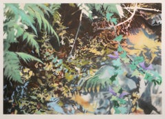 Reflected Overhang IV, sérigraphie contemporaine de David T. Kessler