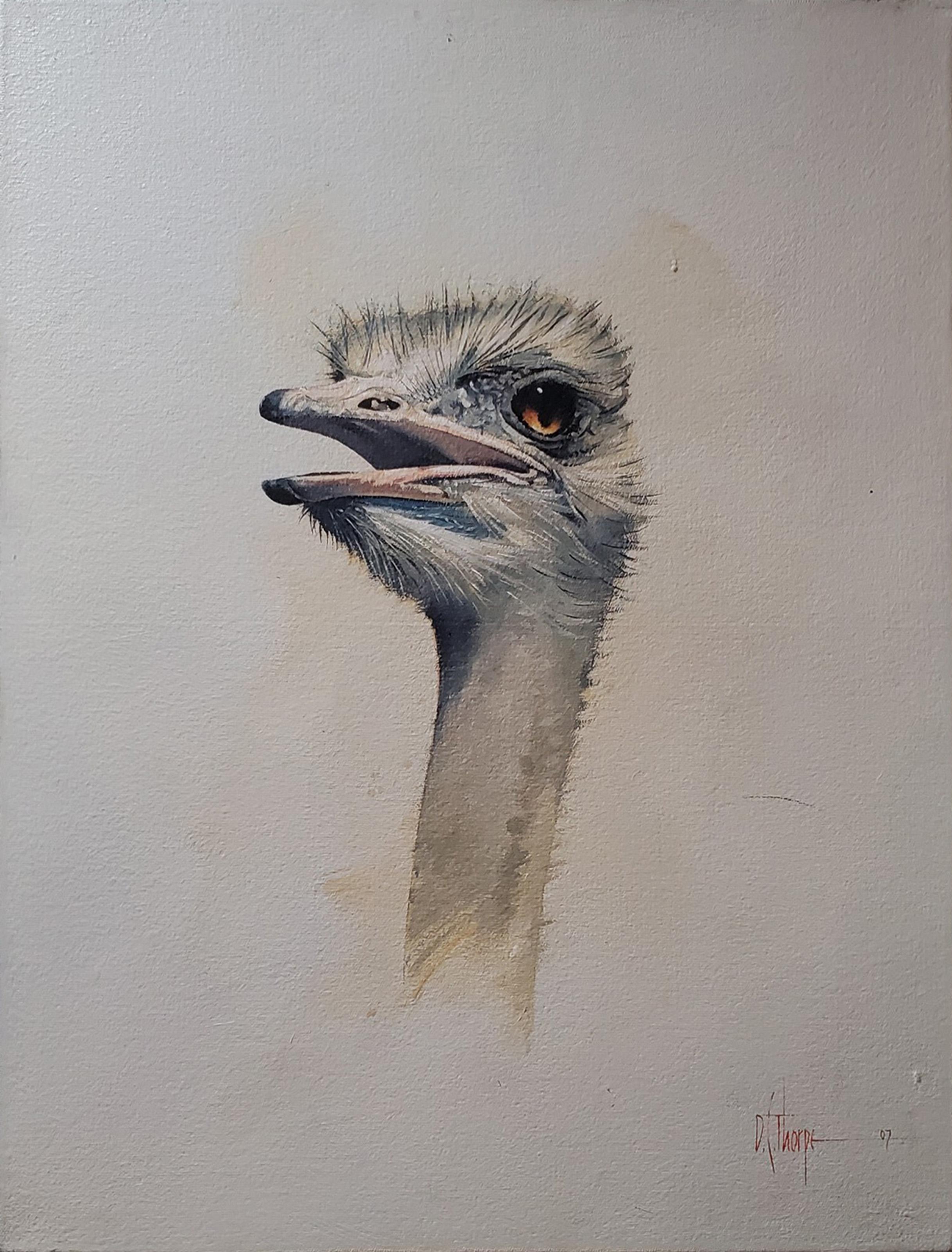 Ostrich, Pop Art Oil on Canvas Painting by David Thorpe