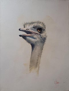 Ostrich, Pop Art Oil on Canvas Painting by David Thorpe