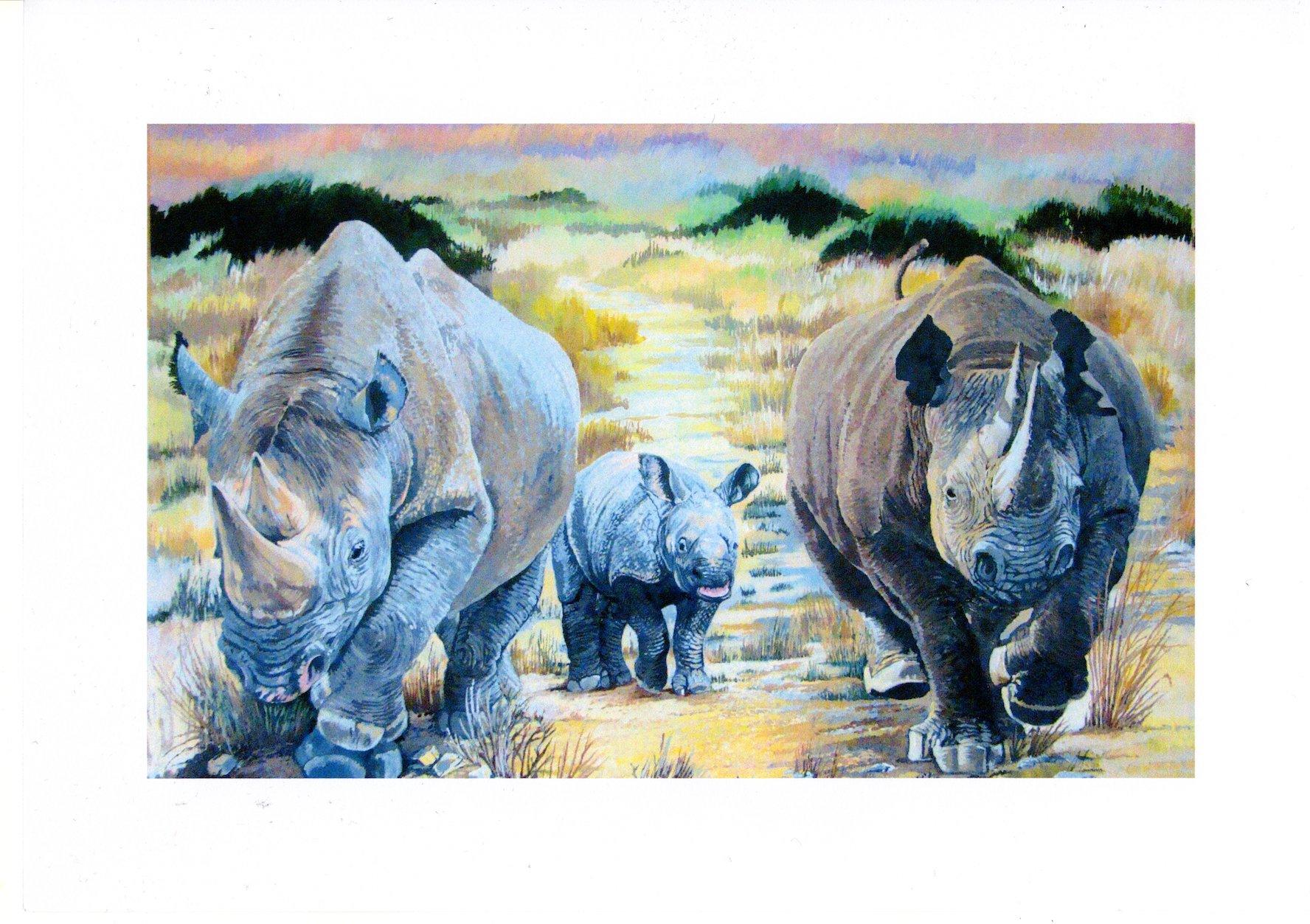 Crash of Rhino's, Tierkunst, Safari-Gemälde, Contemporary Realist Artwork (Realismus), Painting, von David Truman