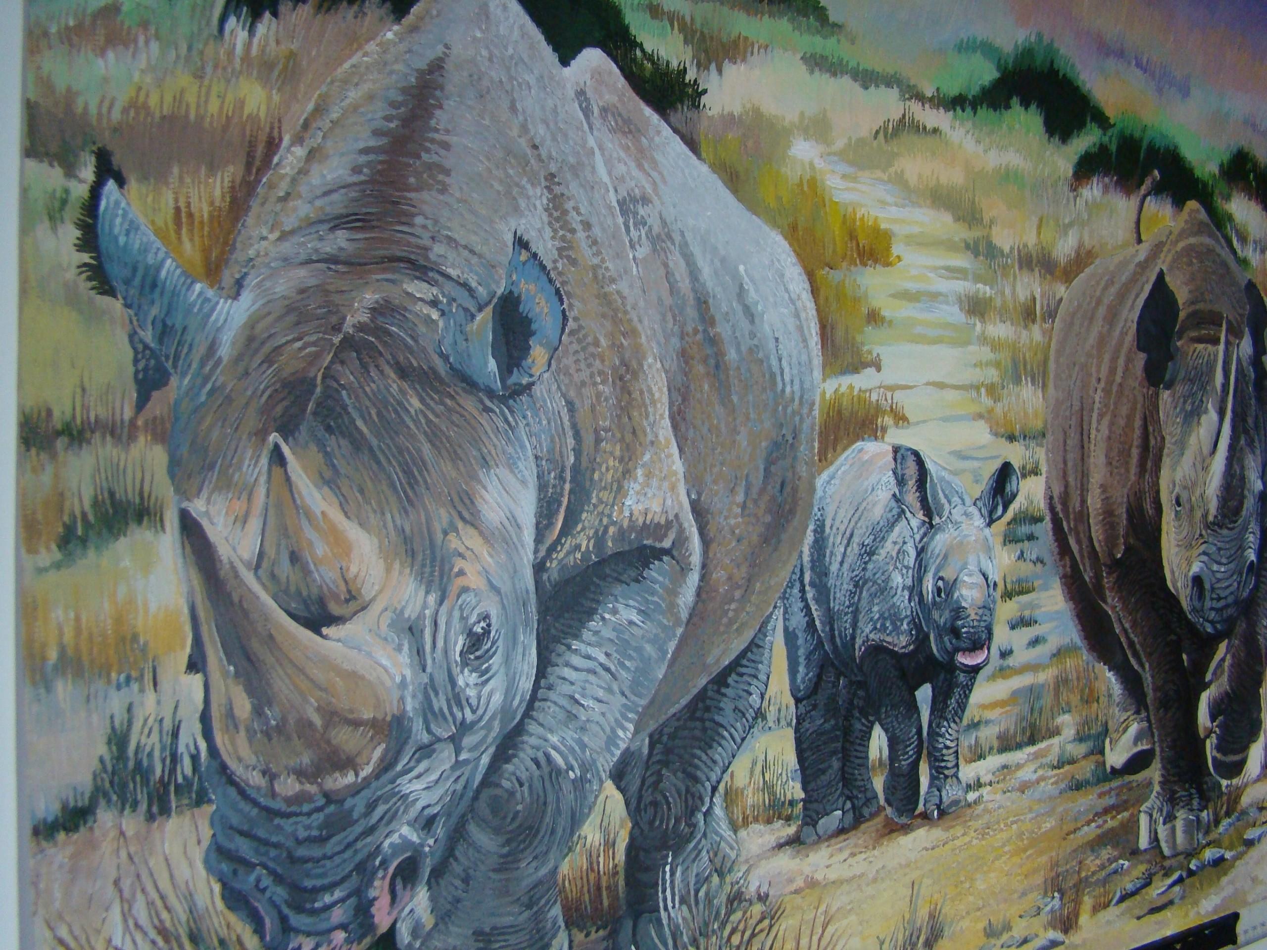 Family of Rhino's in their natural habitat. I used three separate photographs to construct the final image, and is painted in water-colour and acrylic mixed paint on Bockingford paper.

David Truman artist offers original paintings and limited