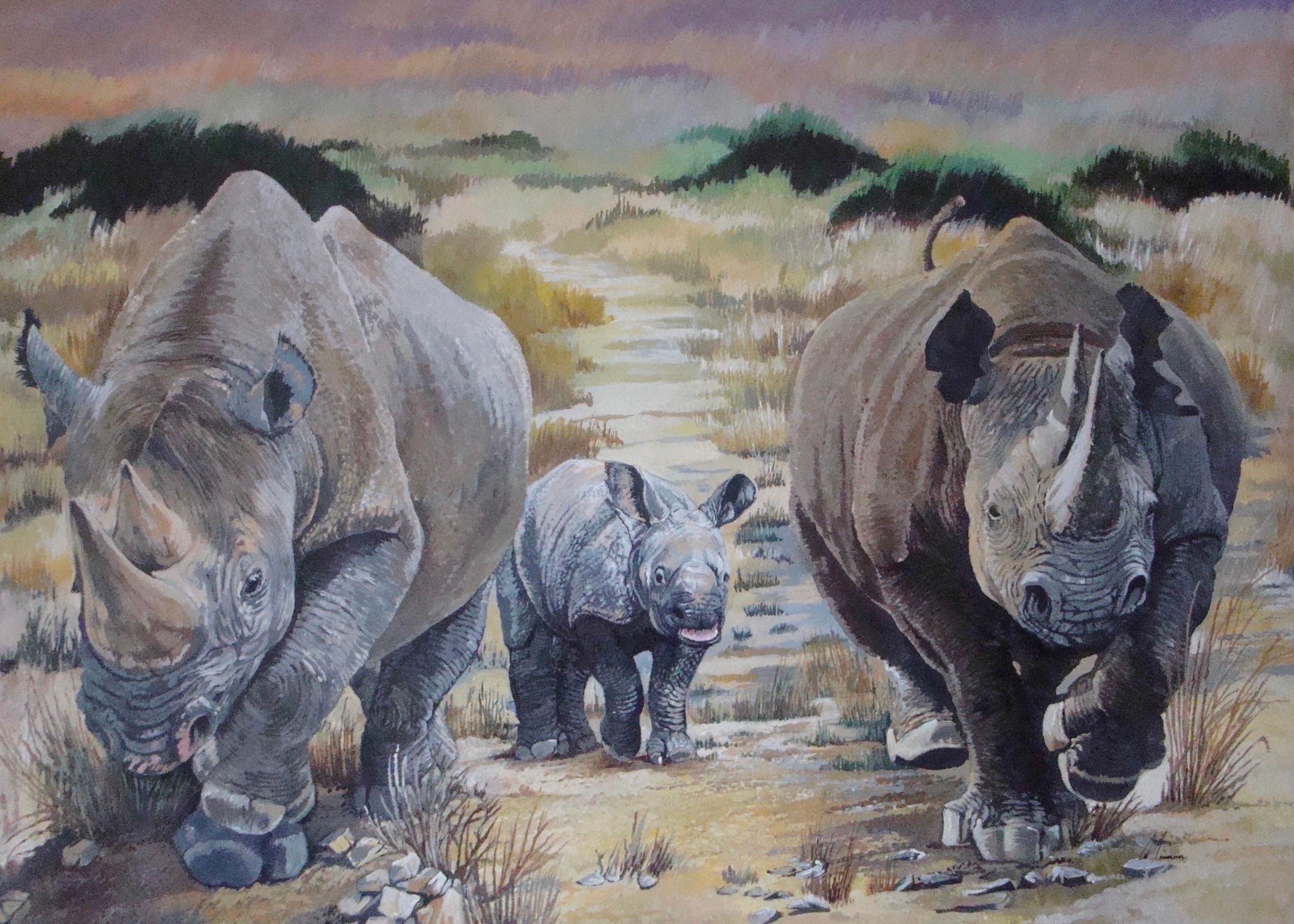 David Truman Animal Painting – Crash of Rhino's, Tierkunst, Safari-Gemälde, Contemporary Realist Artwork
