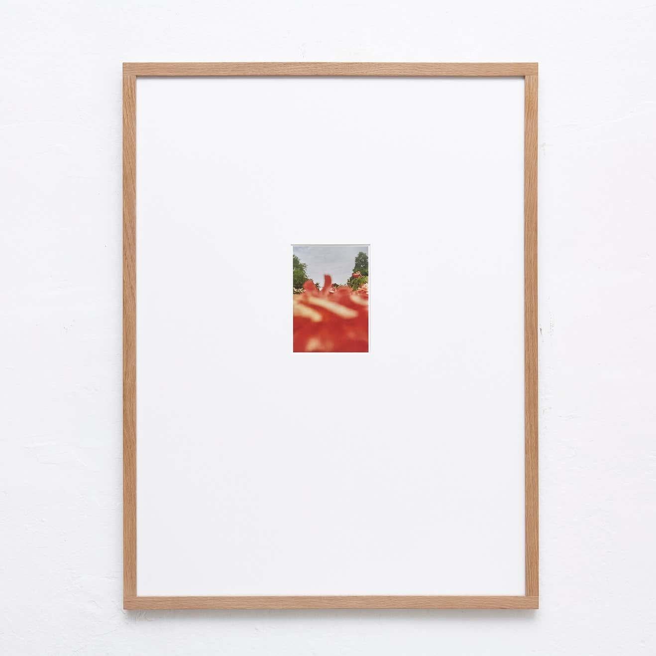 David Urbano, Contemporary, Giclée Druck Blume Spanisch Fotografie im Zustand „Gut“ im Angebot in Barcelona, Barcelona