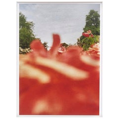 David Urbano, Contemporary, Giclée Print Flower Spanish Photography