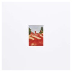 David Urbano, Contemporary, Giclée Print Flower Spanish Photography
