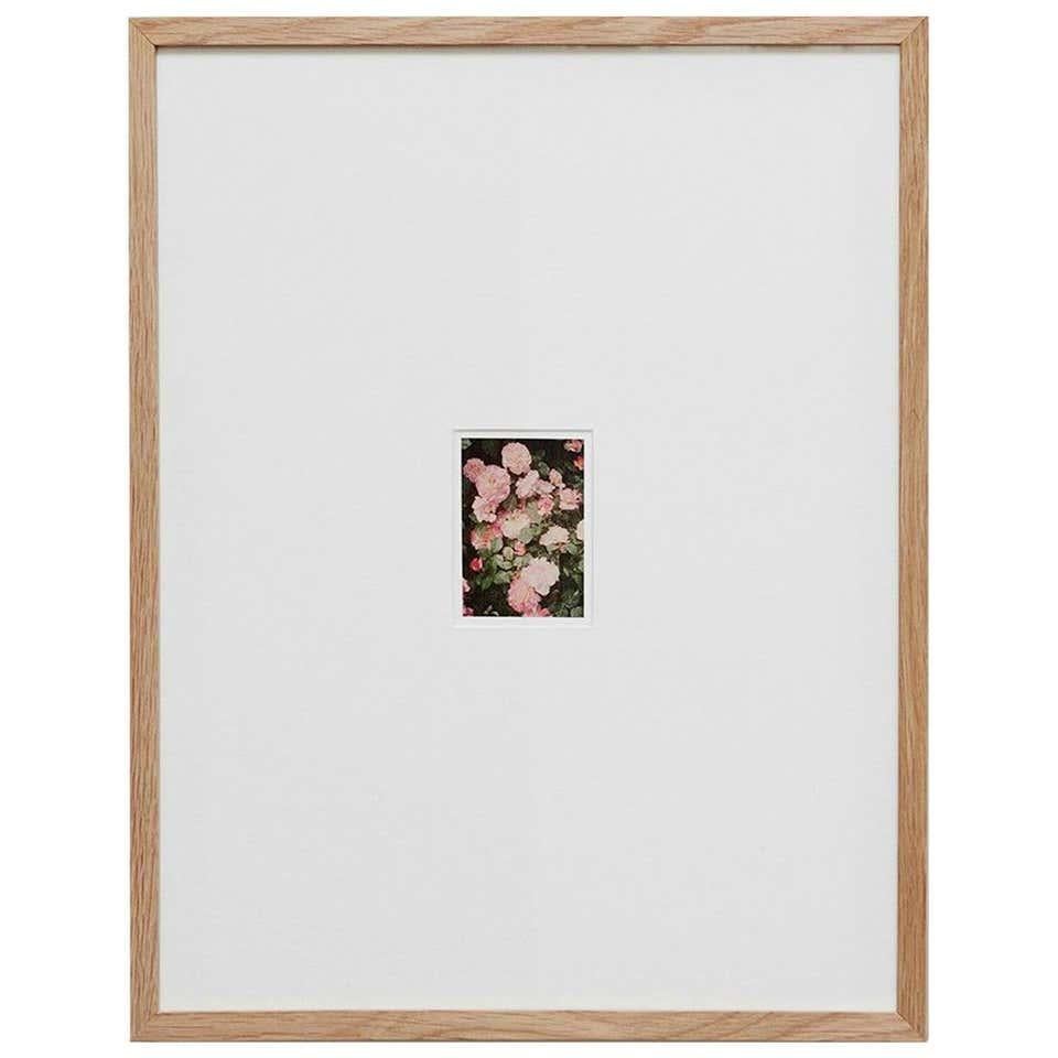 David Urbano Contemporary Limited Edition Photography the Rose Garden Nº 34 4