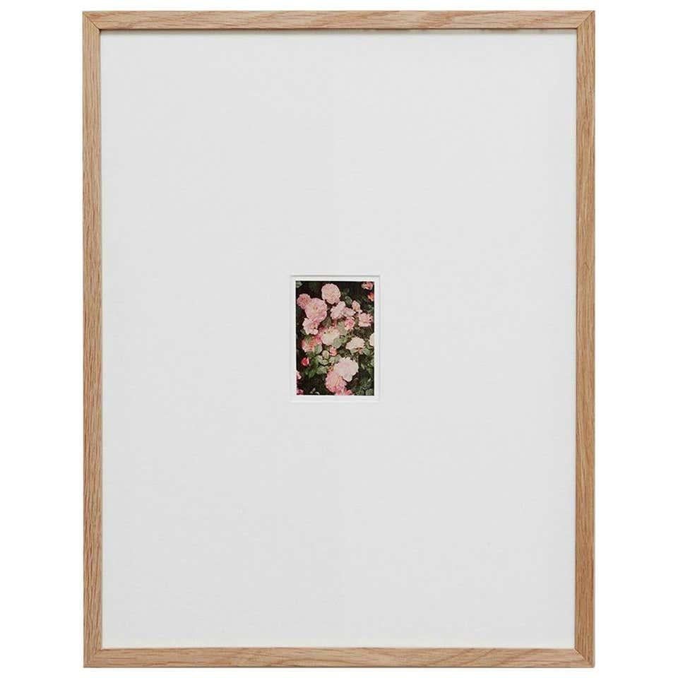 Photographie contemporaine à tirage limité David Urbano le jardin des roses Nº 34 en vente 3