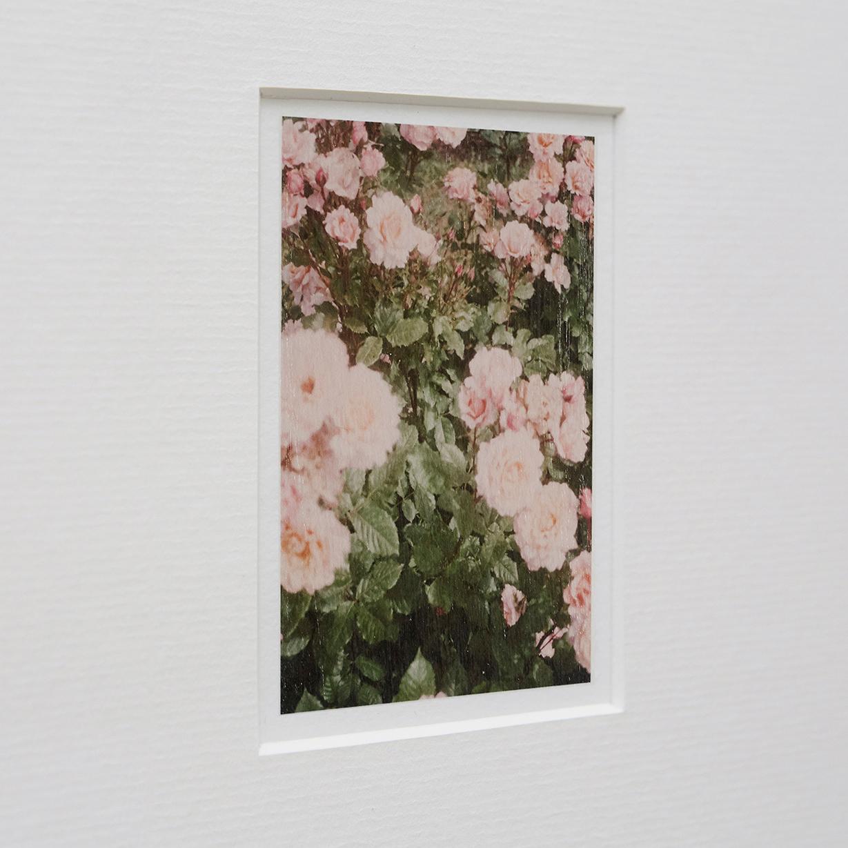 Espagnol Photographie contemporaine The Rose Garden n 33 de David Urbano en vente
