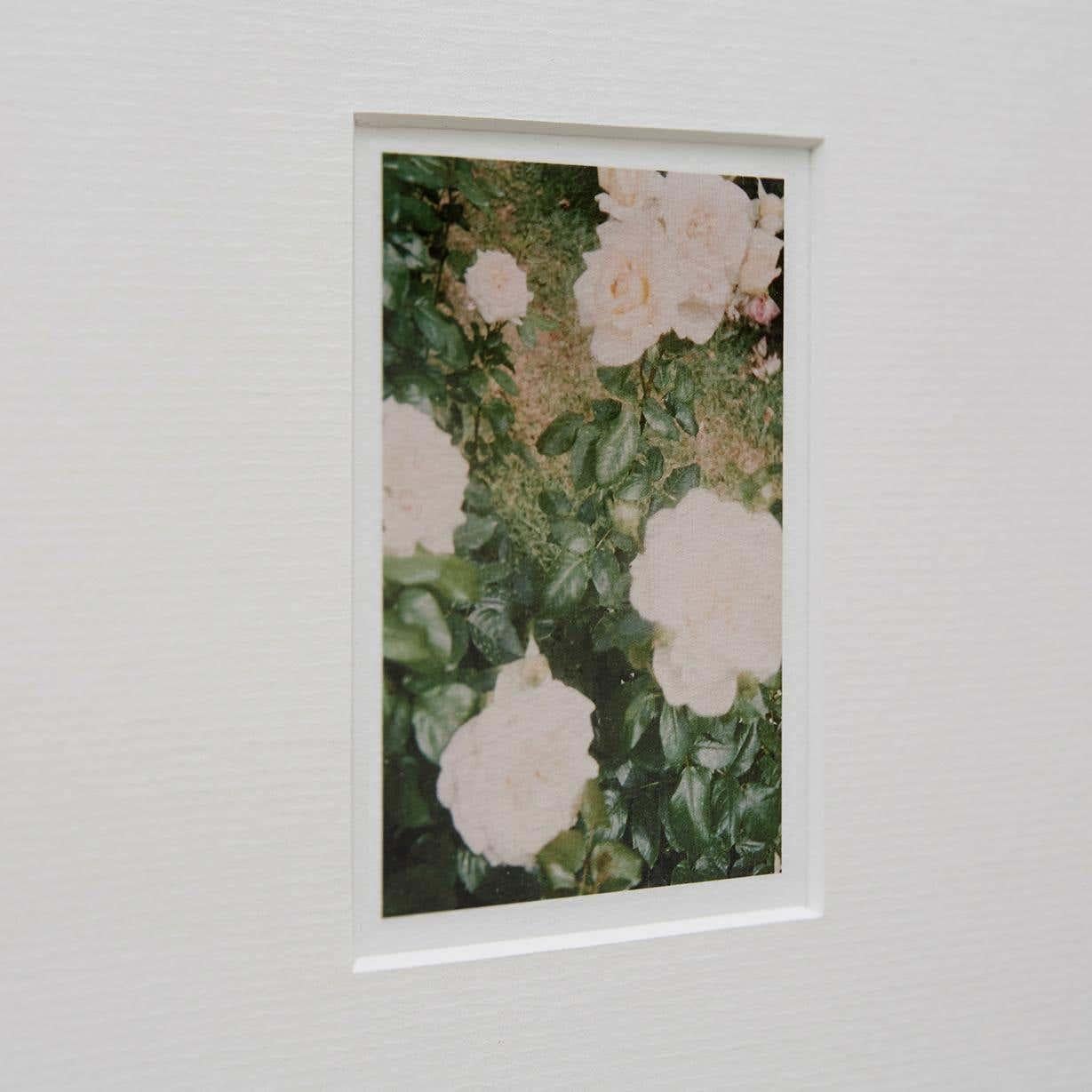 Papier Photographie contemporaine David Urbano « The Rose Garden » n° 35 en vente