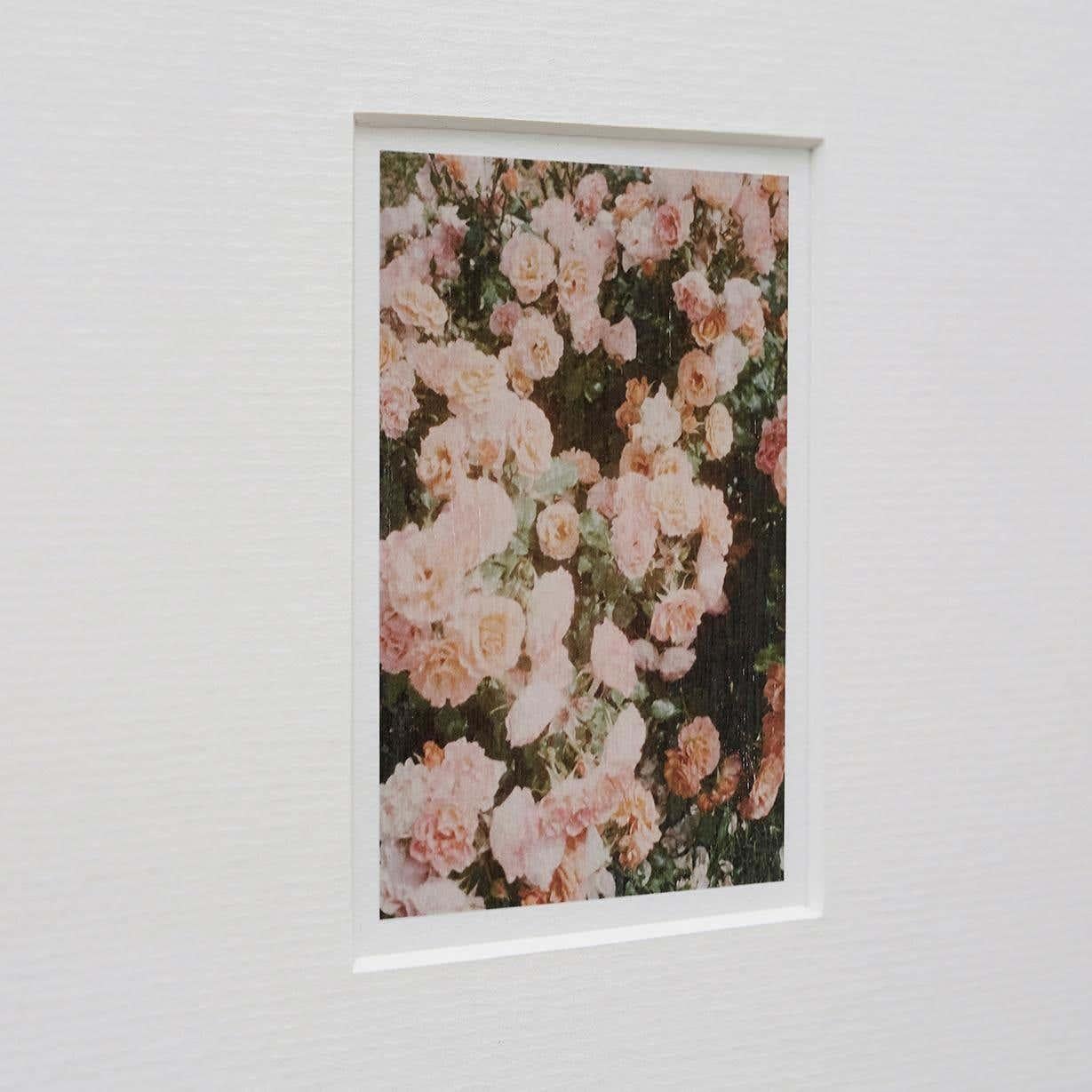 David Urbano Contemporary Photography the Rose Garden Nº 40 For Sale 1