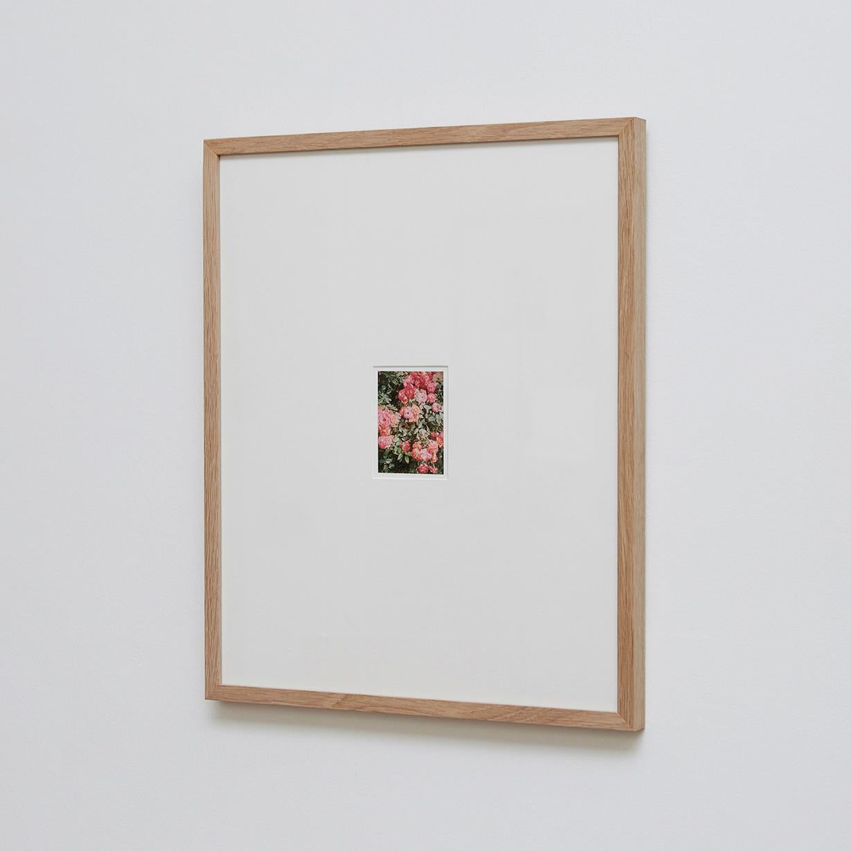 David Urbano Contemporary Photography the Rose Garden Nº 47 In Good Condition In Barcelona, Barcelona