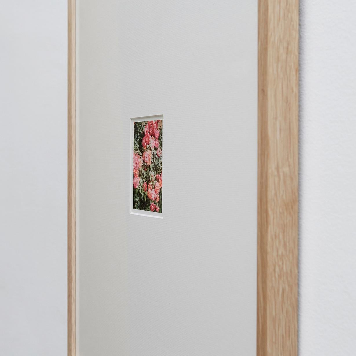 Paper David Urbano Contemporary Photography the Rose Garden Nº 47