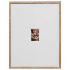 David Urbano Contemporary Photography the Rose Garden Nº 47