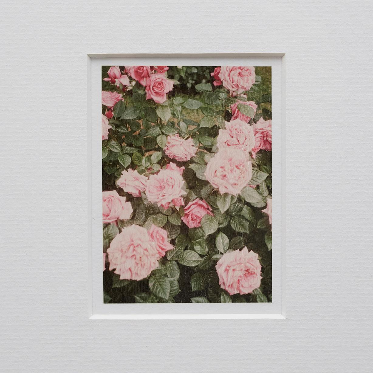 Set of nine flora photography by David Urbano made in Barcelona, circa 2017.

Giclée print in Hahnemüler Paper with a varnish layer applied by hand.

Framed, signed, stamped and numbered.

Edition of 9.

Year 2015 printed 2018.

Measures: