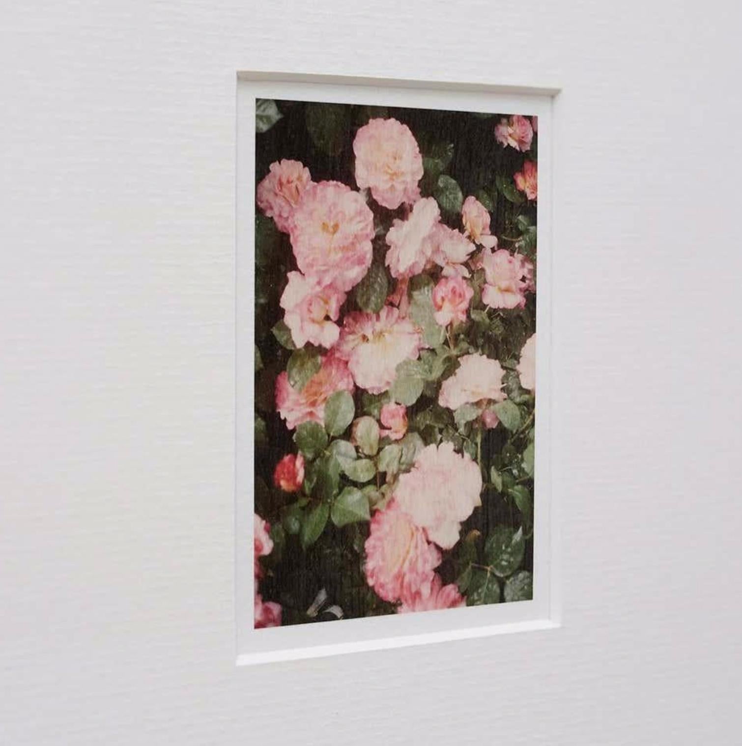David Urbano Fotografie: Limitierte Auflage Giclée Druck - A Contemporary Masterpi im Zustand „Gut“ im Angebot in Barcelona, Barcelona