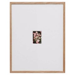 David Urbano Photography : Impression giclée à tirage limité - Un maître contemporainpi