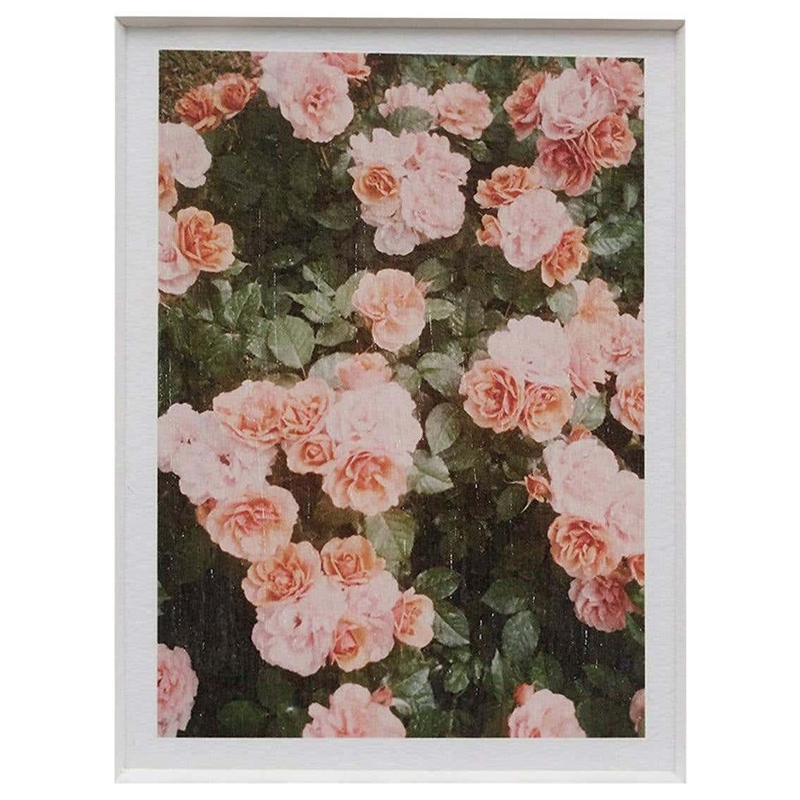 Le jardin de roses n° 21 de David Urbano en vente 2