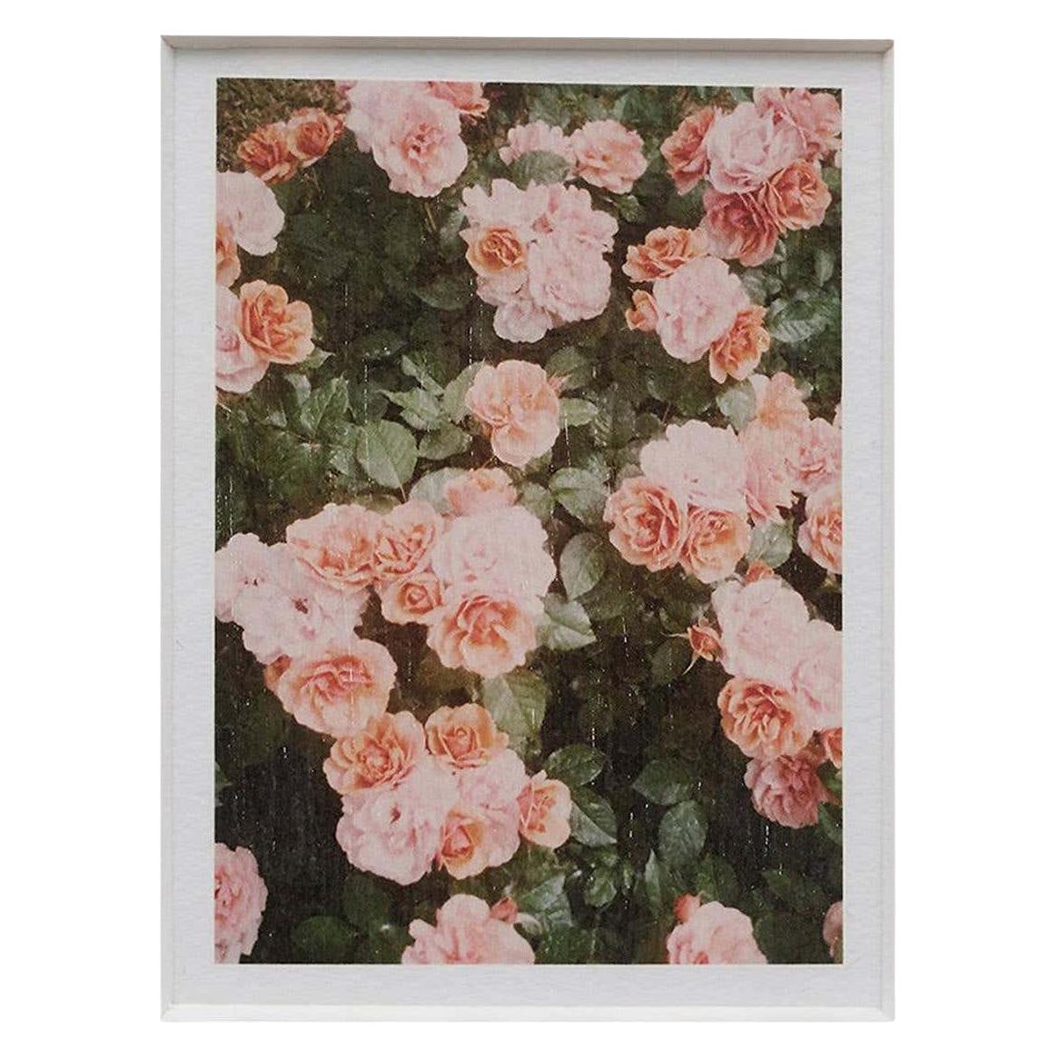 Le jardin de roses n° 21 de David Urbano en vente