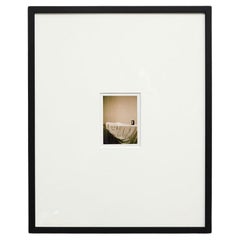 David Urbano's Unique Photography: 'Mon Cadeau' Collection, Limited Edition