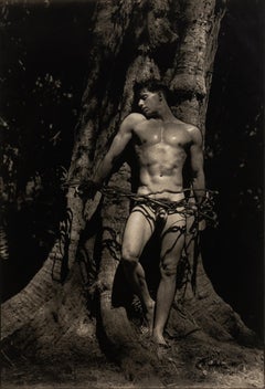 Untitled (Male Nude Against Tree)