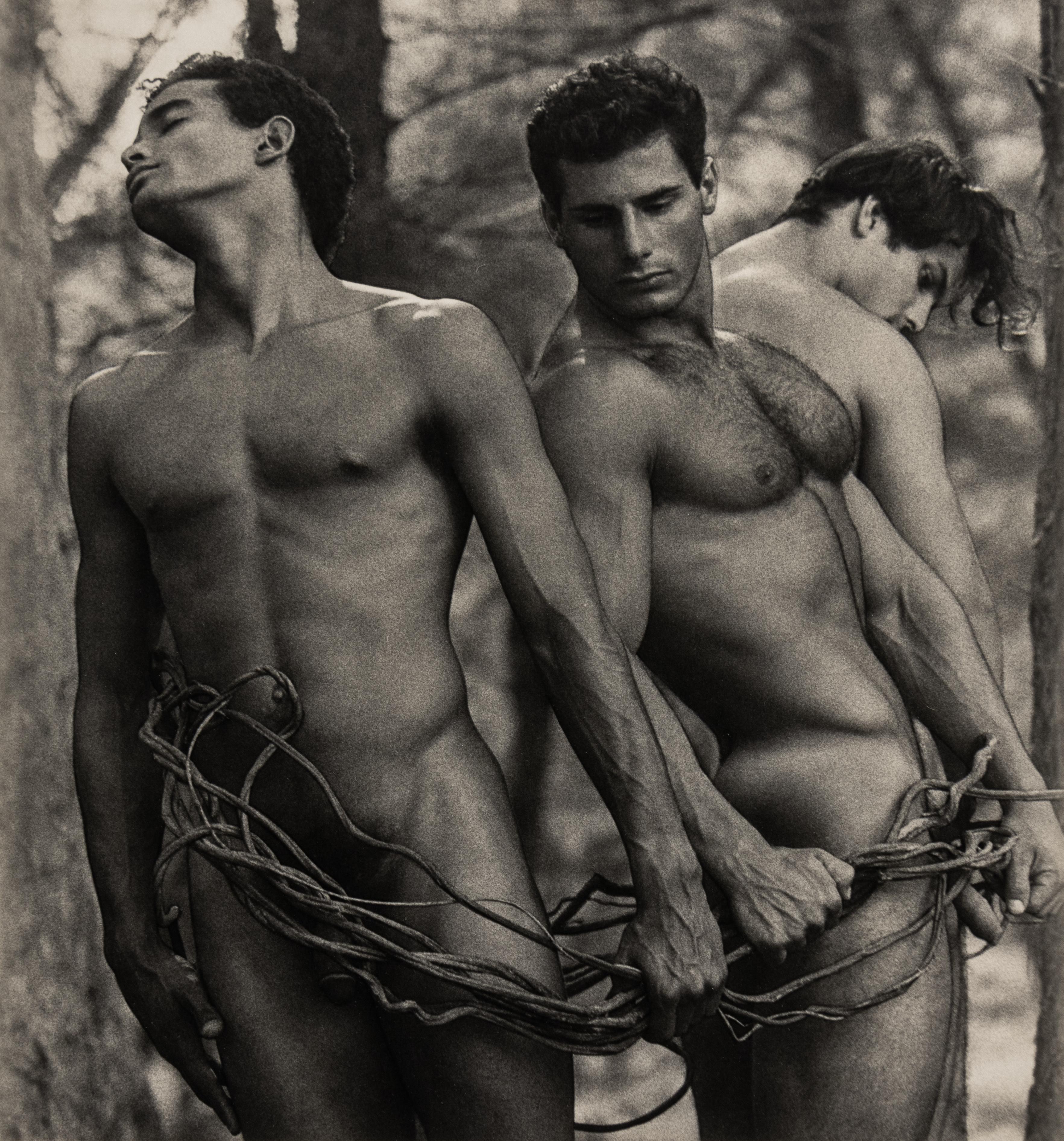 David Vance Nude Photograph - Untitled (Three Nude Men with Vines)