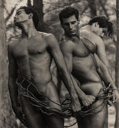 Untitled (Three Nude Men with Vines)