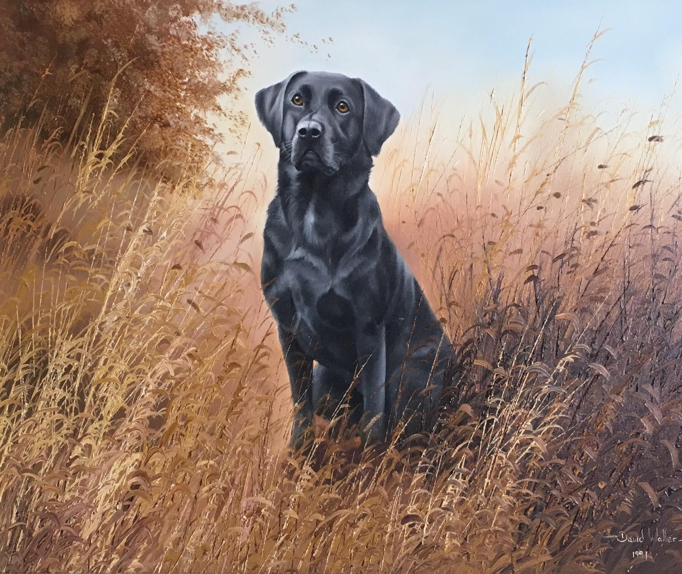 David Waller Portrait Painting - Black Labrador, Dog Portrait, Impressionist Oil Painting, Signed